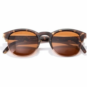 Clearance Event Avila - Tortoise/Amber