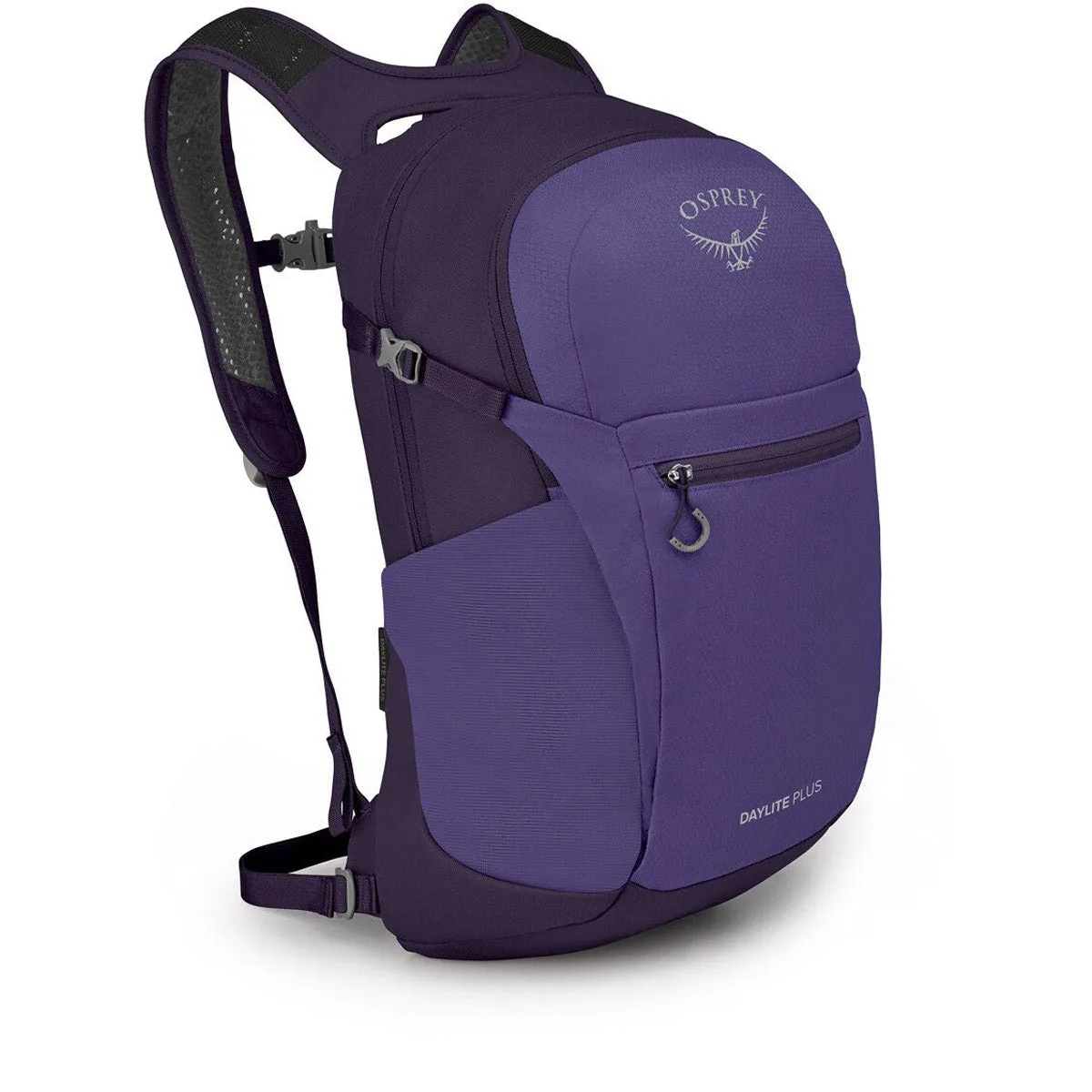 Daylite Plus Hot Offer Inside