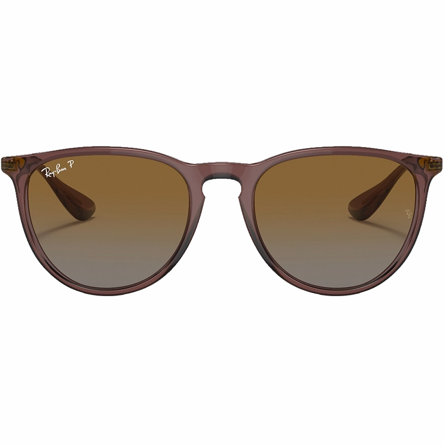 Erika Trans Dark Brown/Gradient Brown Polarized New Arrival Discount