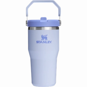 Iceflow Flip Straw 2.0 Tumbler 20 Oz EndofWeek Deals