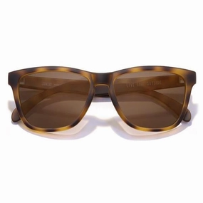 Madronas - Tortoise/Brown Polarized Steal the Deal Now