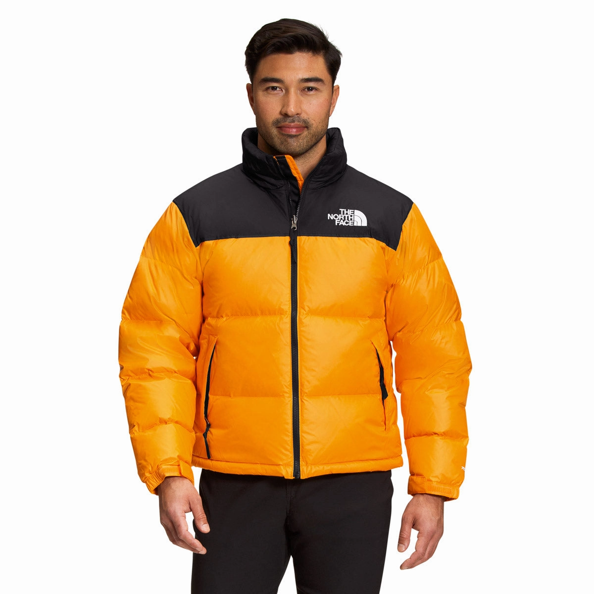 Special Price Offer Shop Save Big Men'S 1996 Retro Nuptse Jacket