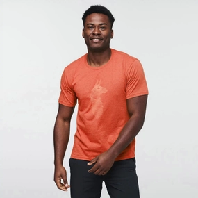 Trending Deals Today Men'S Topo Llama T-Shirt