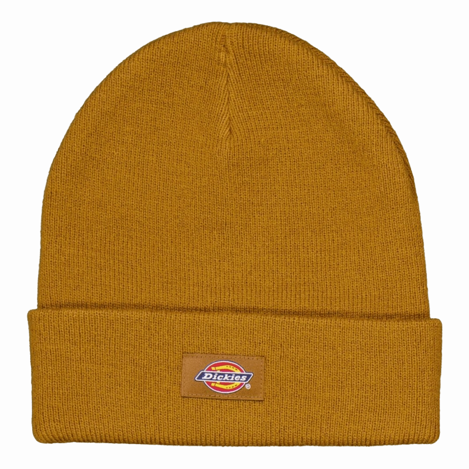 Dickies Gibsland Beanie  Duck Perfect Gift Offer MustHave Items