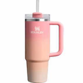 Quencher H2.O Flowstate 30 Oz Tumbler Dont Wait Save