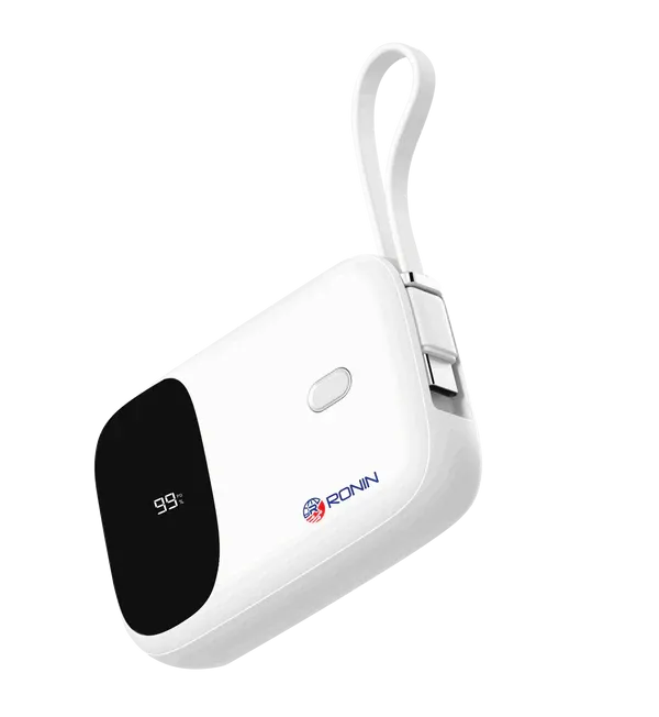 Deal of the Day Limited Stock Offer Ronin R-4030 10000Mah Power Bank