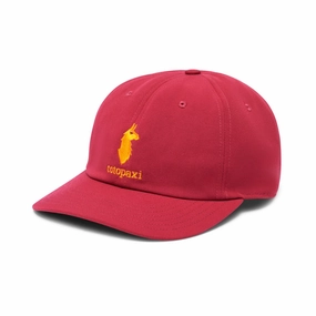 Cotopaxi Dad Hat Best Price Today Limited Time Hot Deal