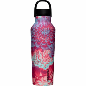 Price Drop Alert Weekend Flash Offer Sport Canteen 20 Oz