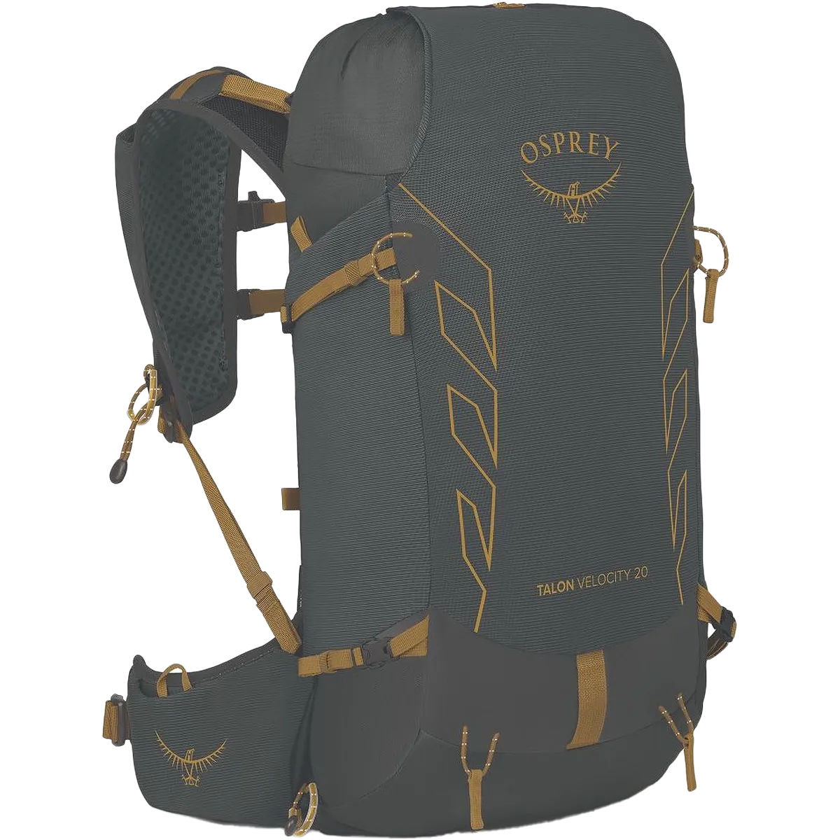 Best Deal Online Flash Offer Today Talon Velocity 20