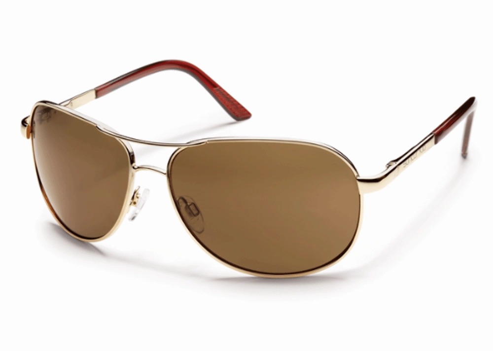 Aviator Sunglasses Today Only Steal