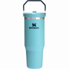 Shop Grab Now Shop Save Big The Iceflow Flip Straw 2.0 Tumbler 30 Oz