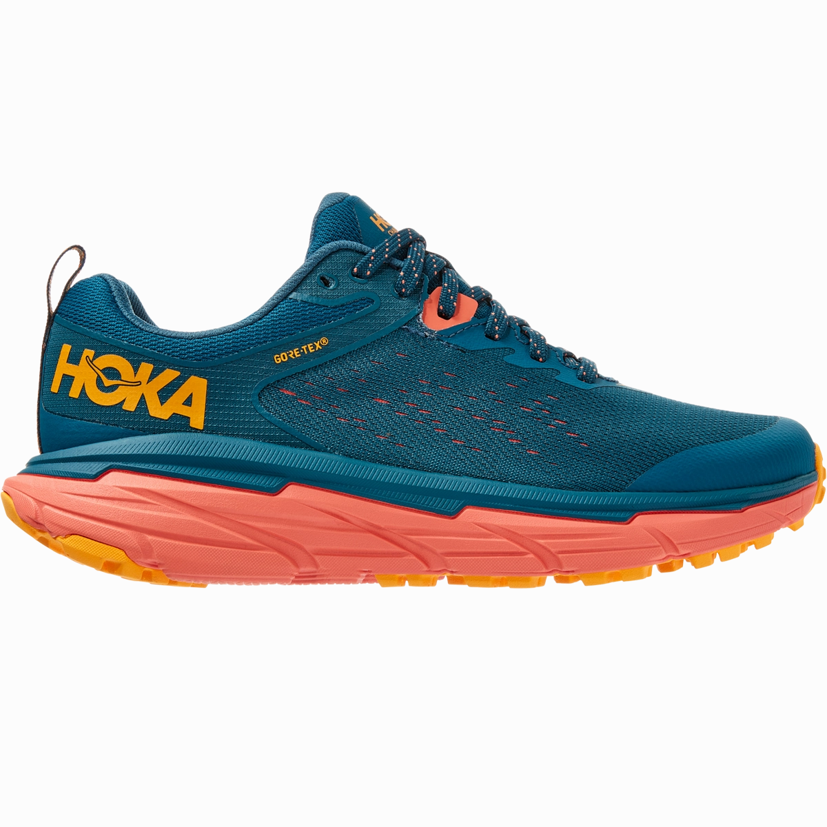Women'S Challenger Atr 6 Gtx Dont Miss Todays Deal