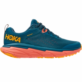 Women'S Challenger Atr 6 Gtx Clearance Blowout